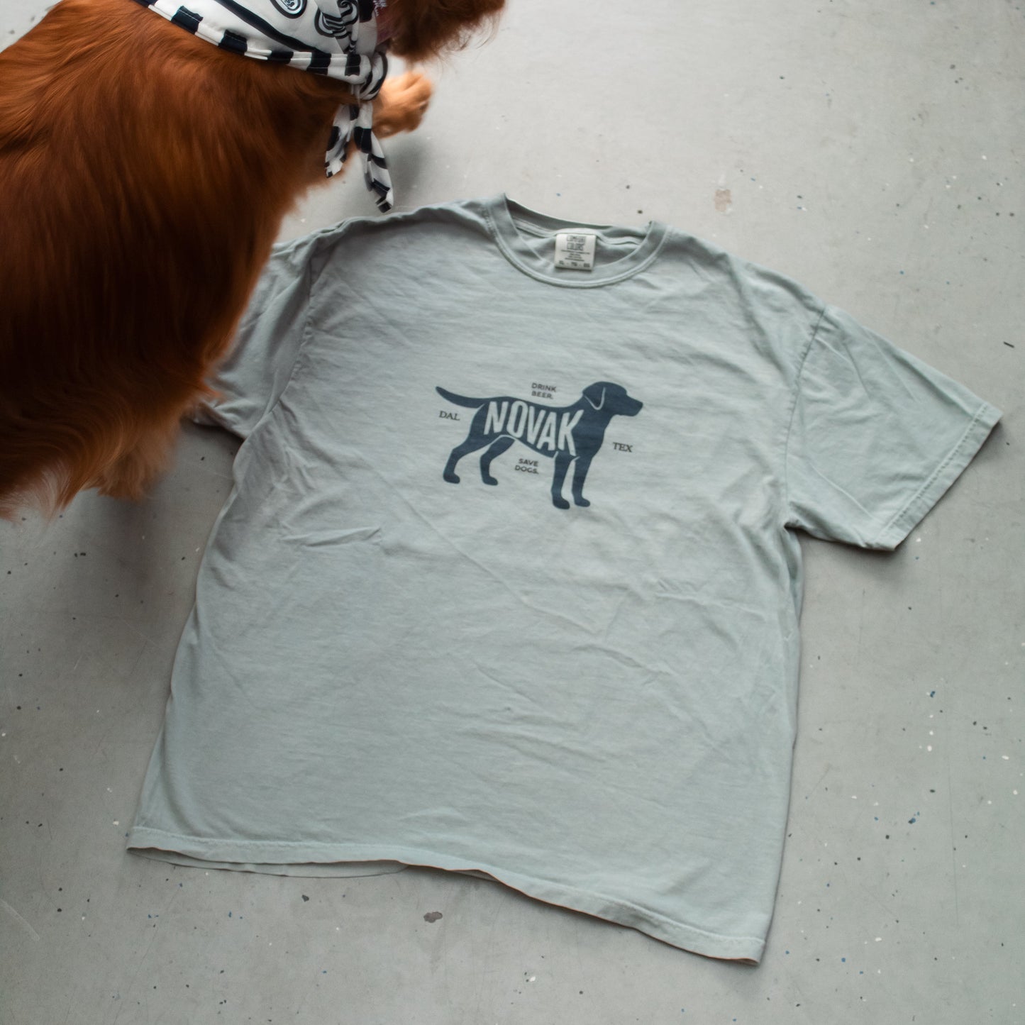 Drink Beer Save Dogs Tee - Bay